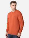 T-Base Men Rust Solid Cotton Pullover