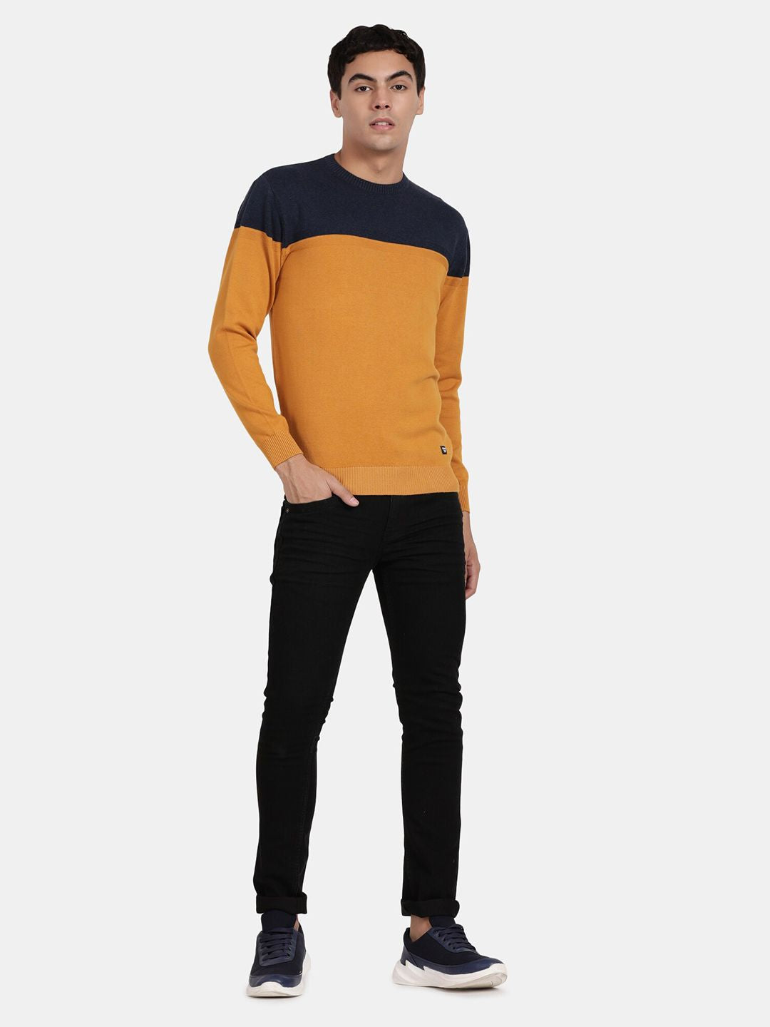 Crew Neck Full Sleeve SPRUCE YELLOW Color Blocked Pullover