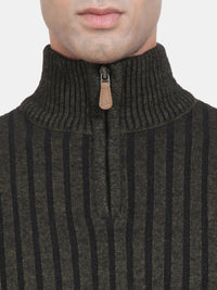 T-Base Striped Turtle Neck Acrylic Pullover