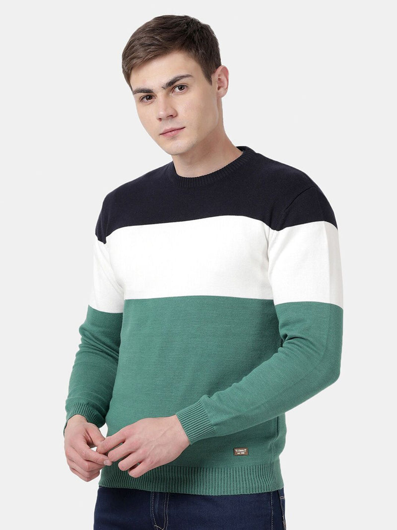 T-Base Men Green & Black Colourblocked Striped Pullover