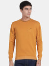 Crew Neck Spruce Yellow Full Sleeve Pullover