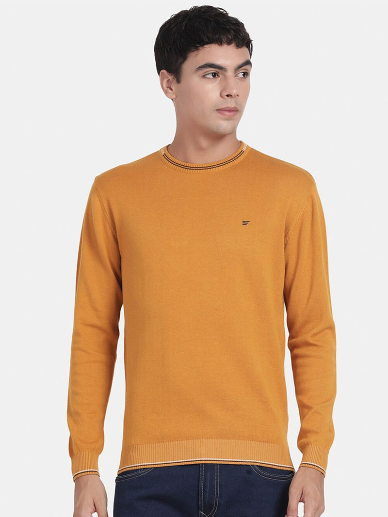 Crew Neck Spruce Yellow Full Sleeve Pullover