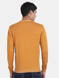 Crew Neck Spruce Yellow Full Sleeve Pullover