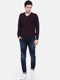 T-Base Men Blue & Maroon Striped Sweater