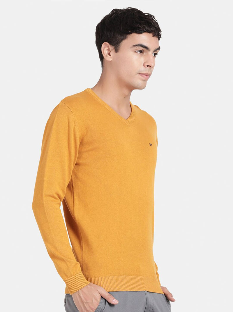 V Neck Spruce Yellow Full Sleeve Pullover