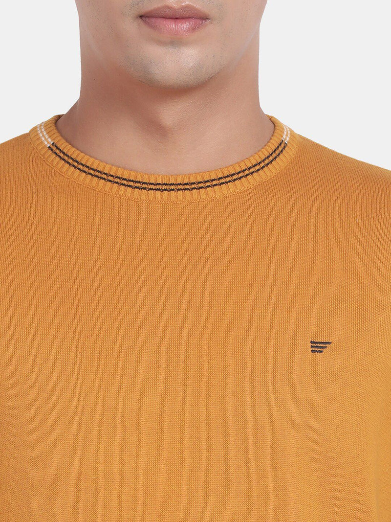 Crew Neck Spruce Yellow Full Sleeve Pullover