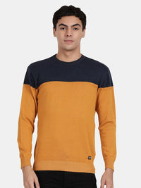 Crew Neck Full Sleeve Spruce Yellow Color Blocked Pullover