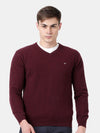 T-Base Self Design V Neck Pullover Sweater