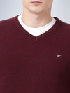 V Neck Lambswool Wine Full Sleeve Pullover