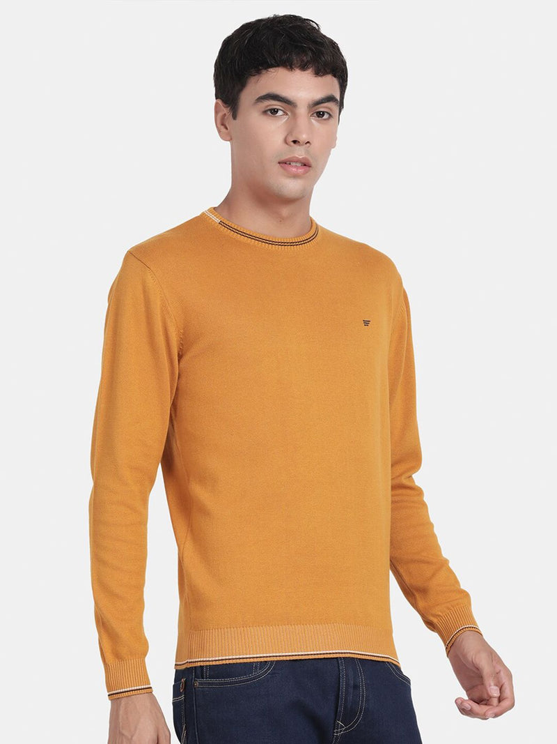 Crew Neck Spruce Yellow Full Sleeve Pullover