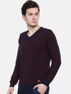 T-Base Men Blue & Maroon Striped Sweater