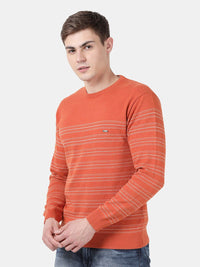 T-Base Men Orange Striped Sweater