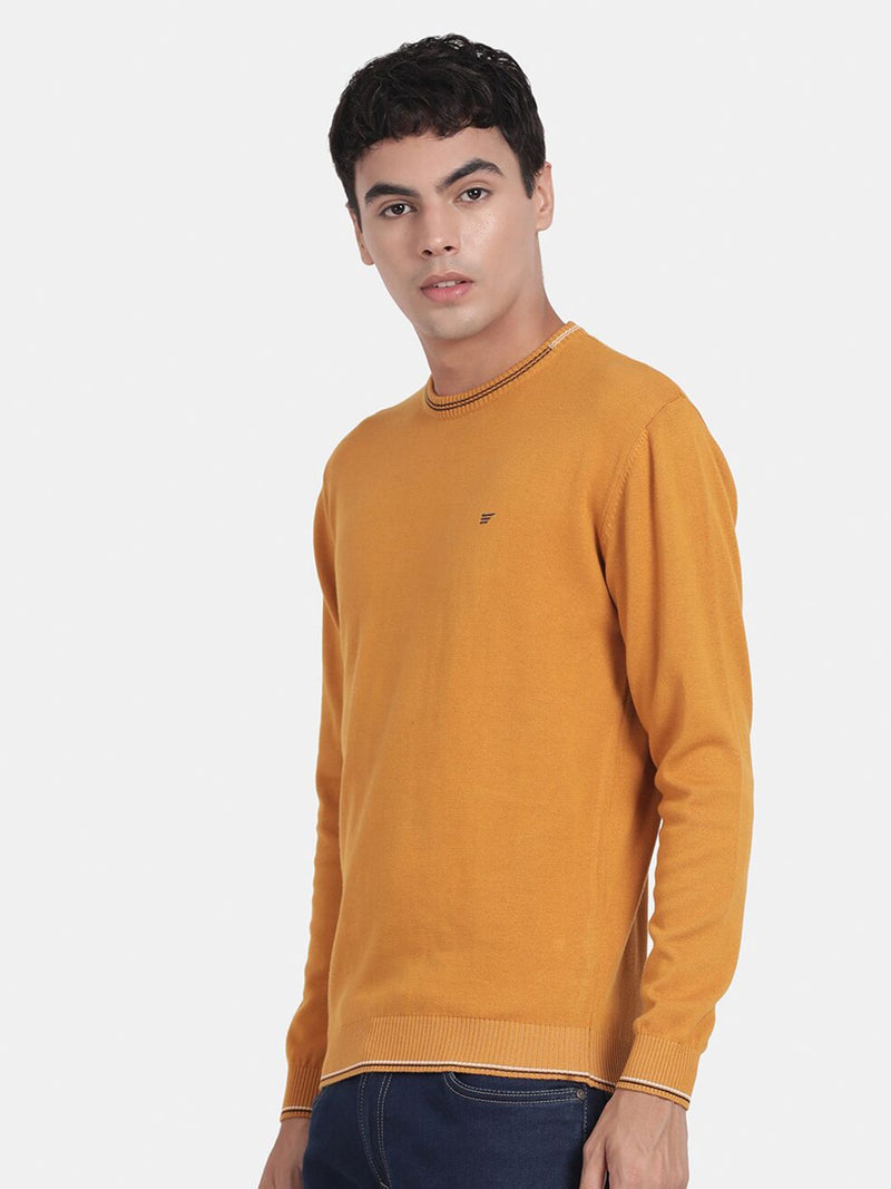 Crew Neck Spruce Yellow Full Sleeve Pullover