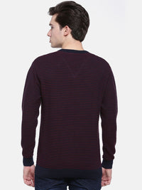 T-Base Men Blue & Maroon Striped Sweater