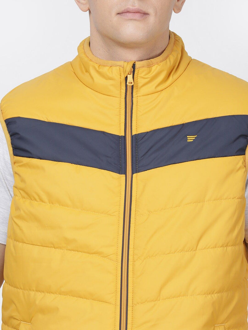 t-base Men Mustard Yellow & Navy Solid Insulator Puffer Jacket