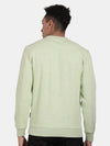 T-Base Round Neck Cotton Sweatshirt