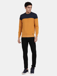 Crew Neck Full Sleeve Spruce Yellow Color Blocked Pullover