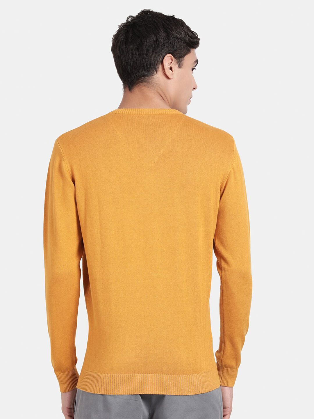 V Neck Spruce Yellow Full Sleeve Pullover