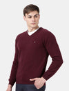 T-Base Self Design V Neck Pullover Sweater