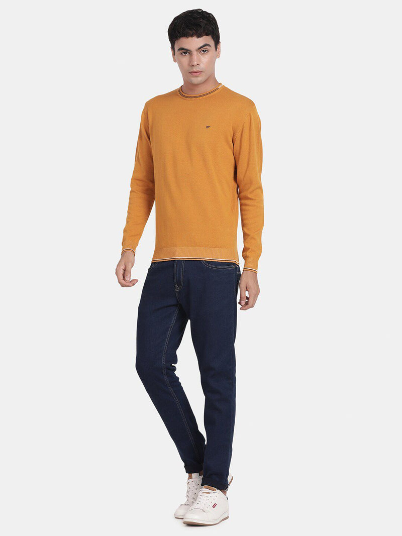 Crew Neck Spruce Yellow Full Sleeve Pullover