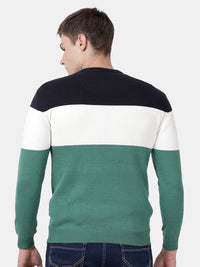 T-Base Men Green & Black Colourblocked Striped Pullover